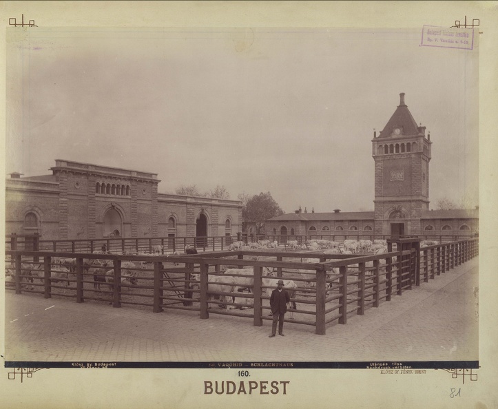 "A Közvágóhíd épületének udvara. A felvétel 1890 után készült." A kép forrását kérjük így adja meg: Fortepan / Budapest Főváros Levéltára. Levéltári jelzet: HU.BFL.XV.19.d.1.07.160