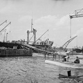 Újpesti-öböl, Ganz hajógyár, háttérben az Újpesti (Északi összekötő) vasúti híd pilléreire épített ideiglenes híd. Szovjet jóvátételben gyártott TISSA/TELNOVSK típusú tengeri áruszállító hajók építése.