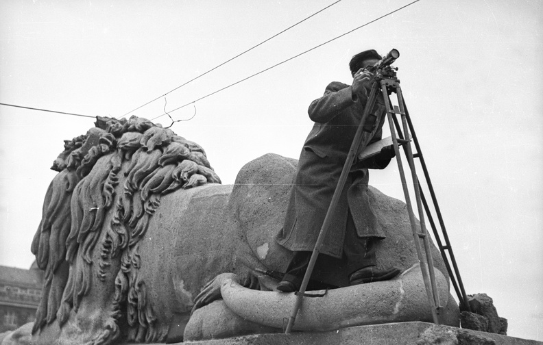 pesti hídfő oroszlánja az újjáépített Lánchíd átadása előtt.