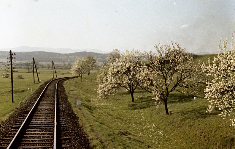 Losonc-Utekáč (Újantalvölgy) vasútvonal szakasza a város előtt, Ipolyszele irányába nézve.