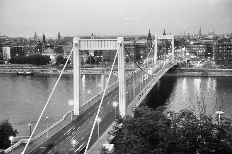 Erzsébet híd a Gellérthegyről.