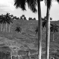 lepusztult talajú domboldal Havanna környékén.